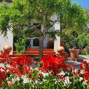 Arenosu Comfort Country Guest house Fertilia